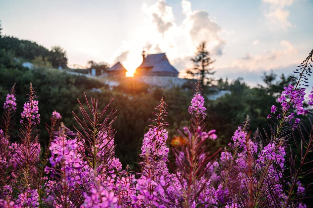 Koca Ojstrica - Velika Planina Stahovica Exterior foto
