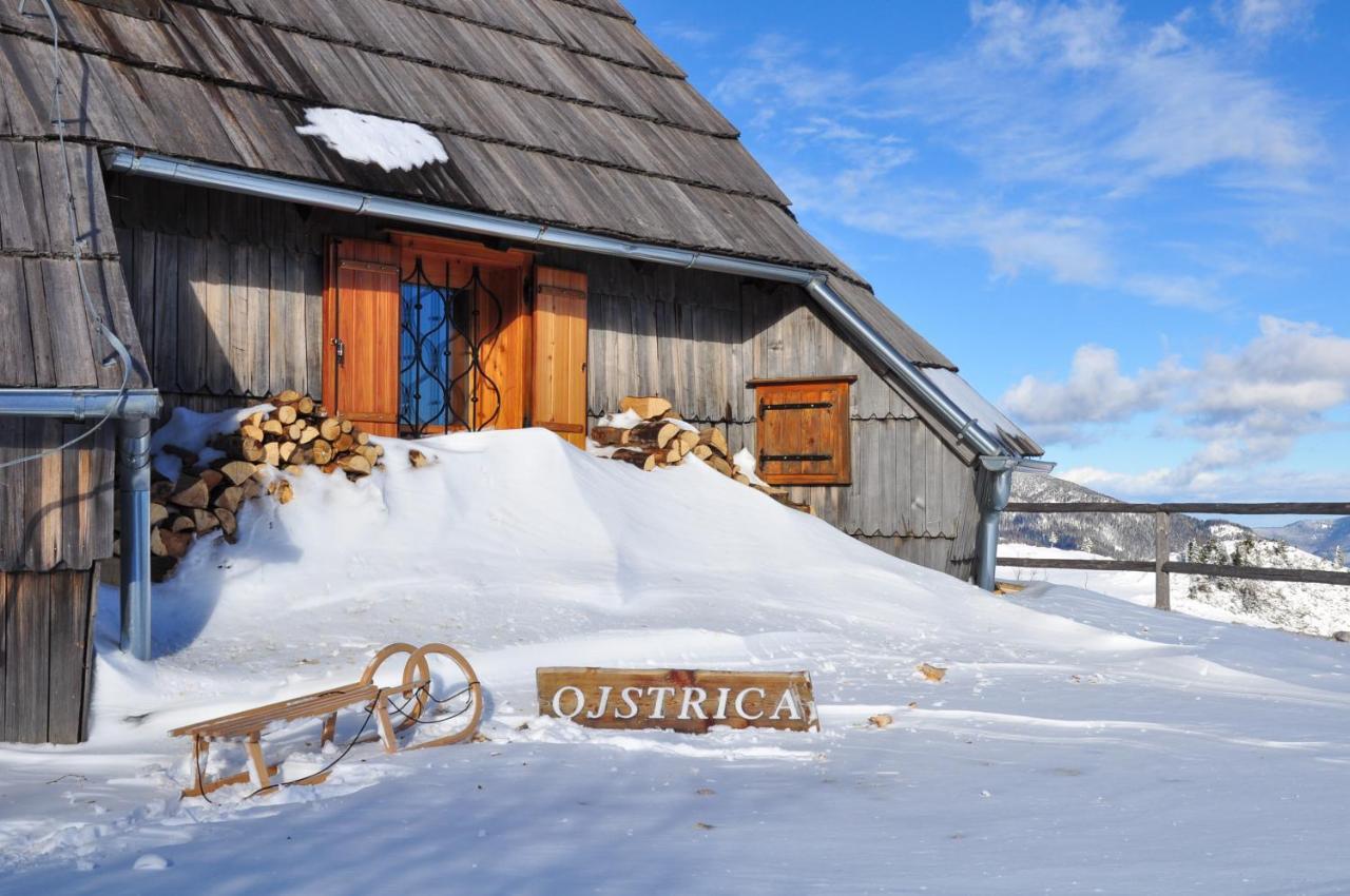 Koca Ojstrica - Velika Planina Stahovica Exterior foto
