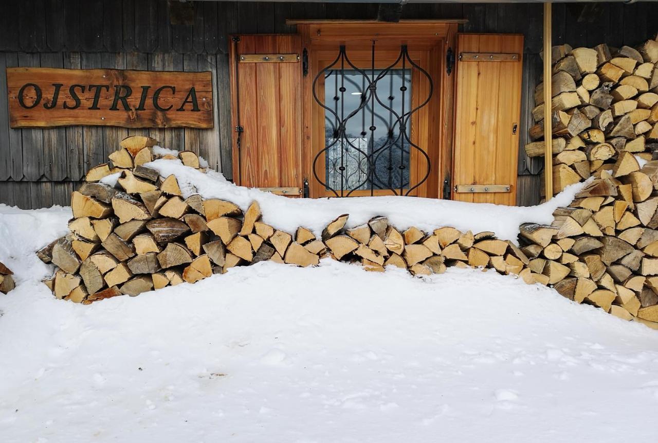 Koca Ojstrica - Velika Planina Stahovica Exterior foto