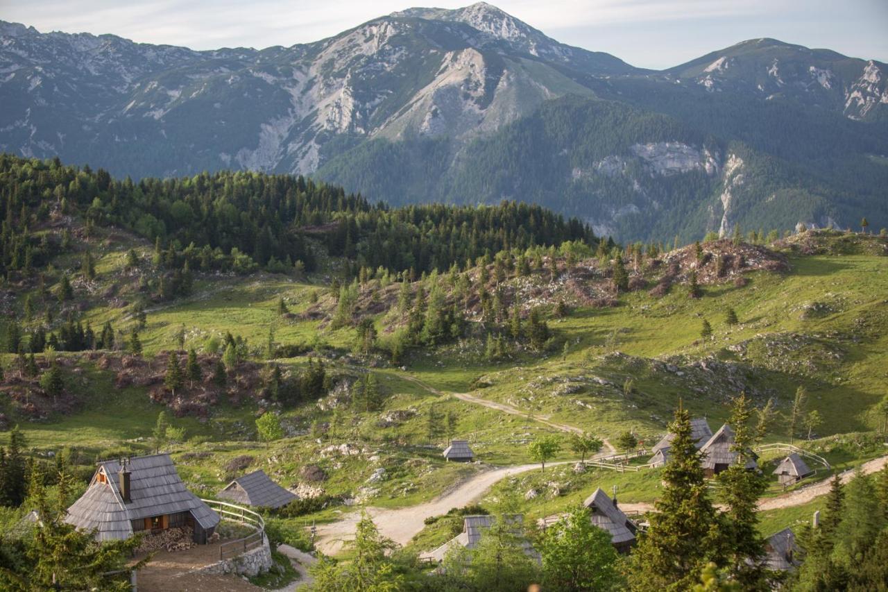 Koca Ojstrica - Velika Planina Stahovica Exterior foto