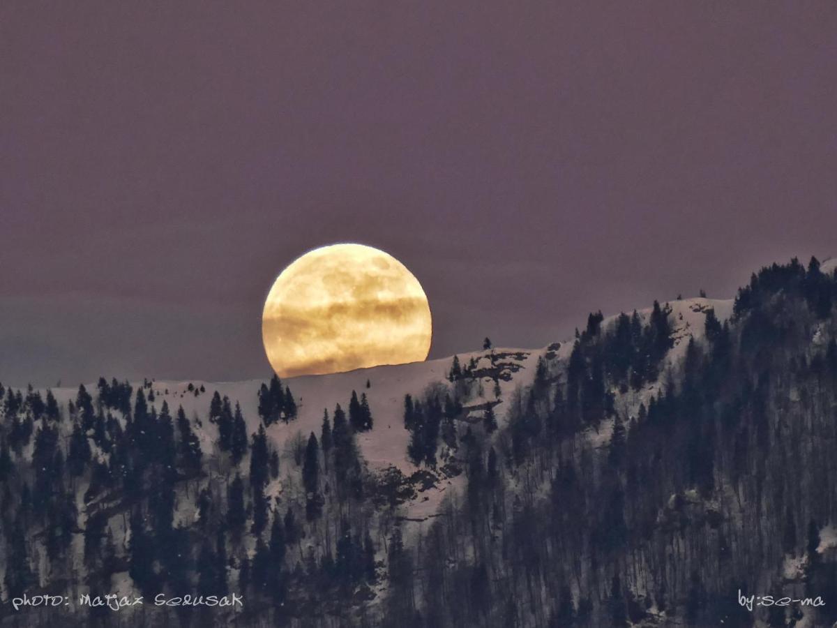Koca Ojstrica - Velika Planina Stahovica Exterior foto