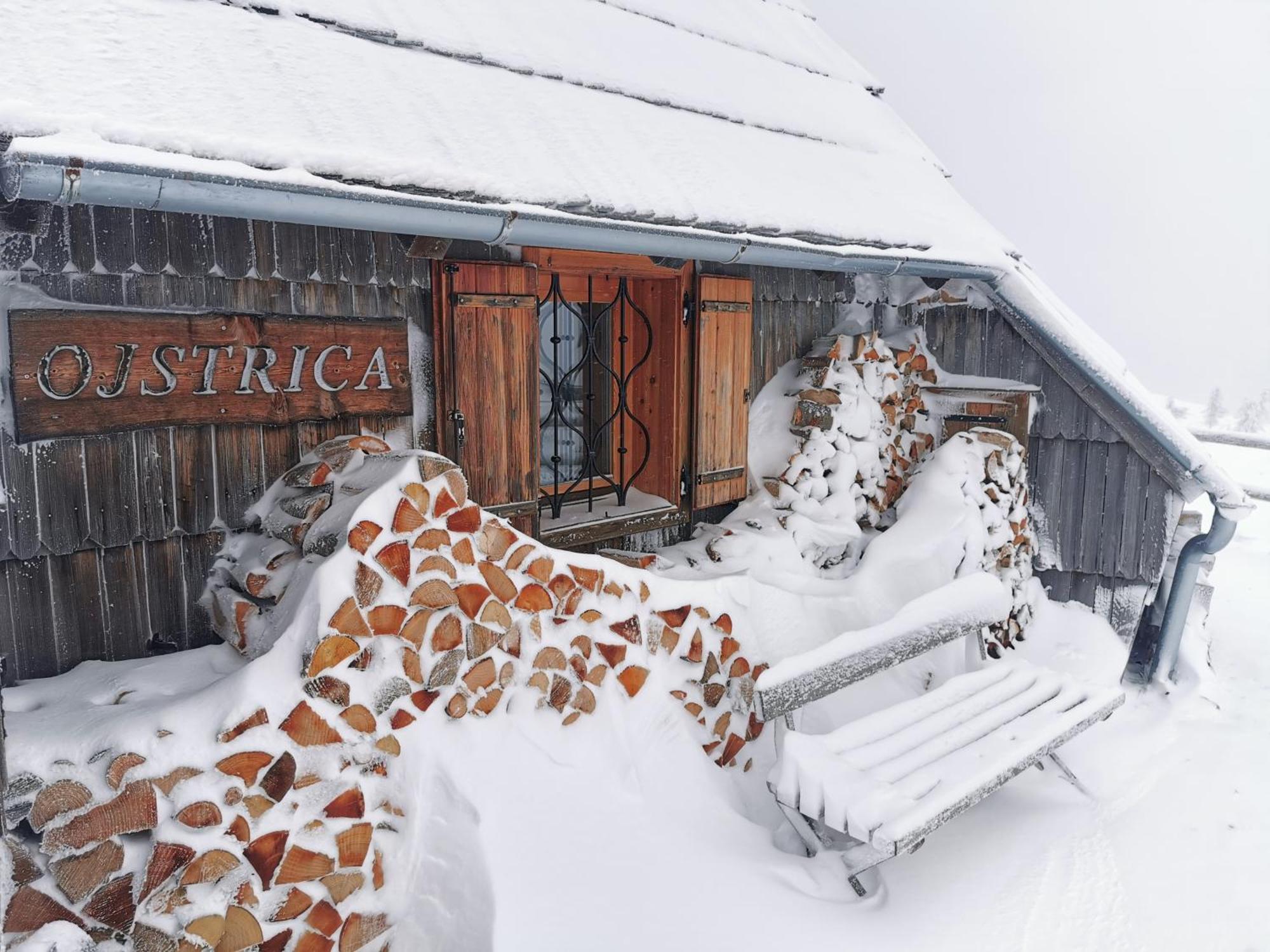 Koca Ojstrica - Velika Planina Stahovica Exterior foto